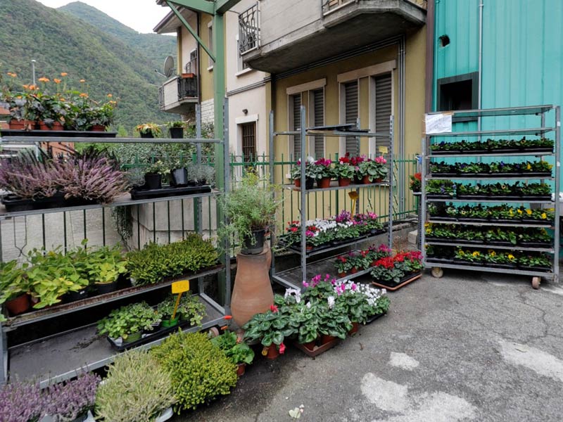 Prodotti da giardino e per animali - Punto Natura Brescia